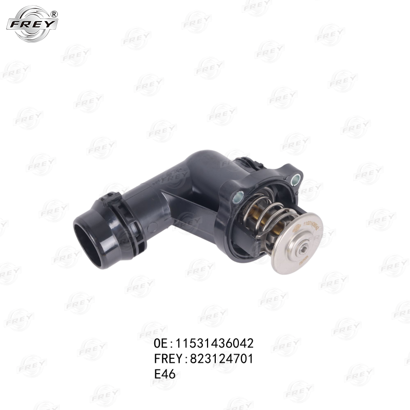 Termostato Bmw Serie 3 (E46) 11531437085