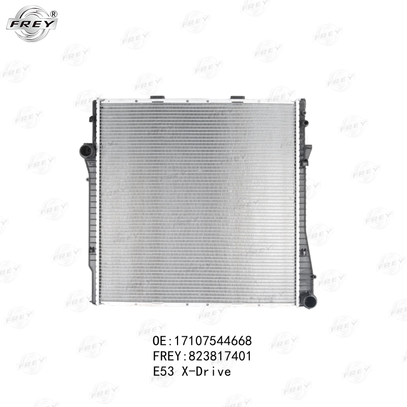 Radiador De Agua Bmw X5 (E53) 17101439103