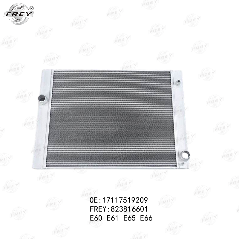 Radiador De Agua Bmw Serie 5 (E60) 17117519209