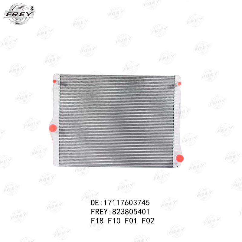 Radiador De Agua Bmw Serie 5 (F10) 17118615994