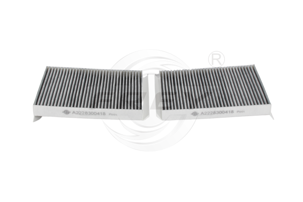 Filtro De Polen Mercedes Benz Clase S (C217, W222) 2228300418