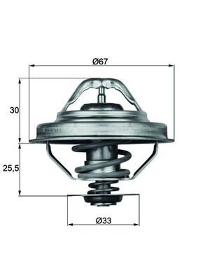 Termostato Bmw Serie 3 (E36), 5 (E34), 7 (E38), Z3 (E36) 11531733803