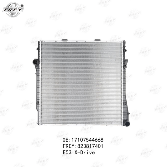Radiador De Agua Bmw X5 (E53) 17101439103