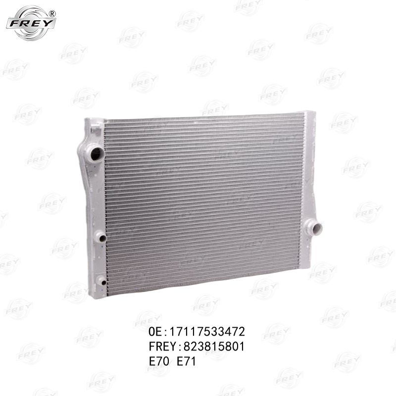 Radiador De Agua Bmw X5 (E70, F15), X6 (E71, F16) 17117533472