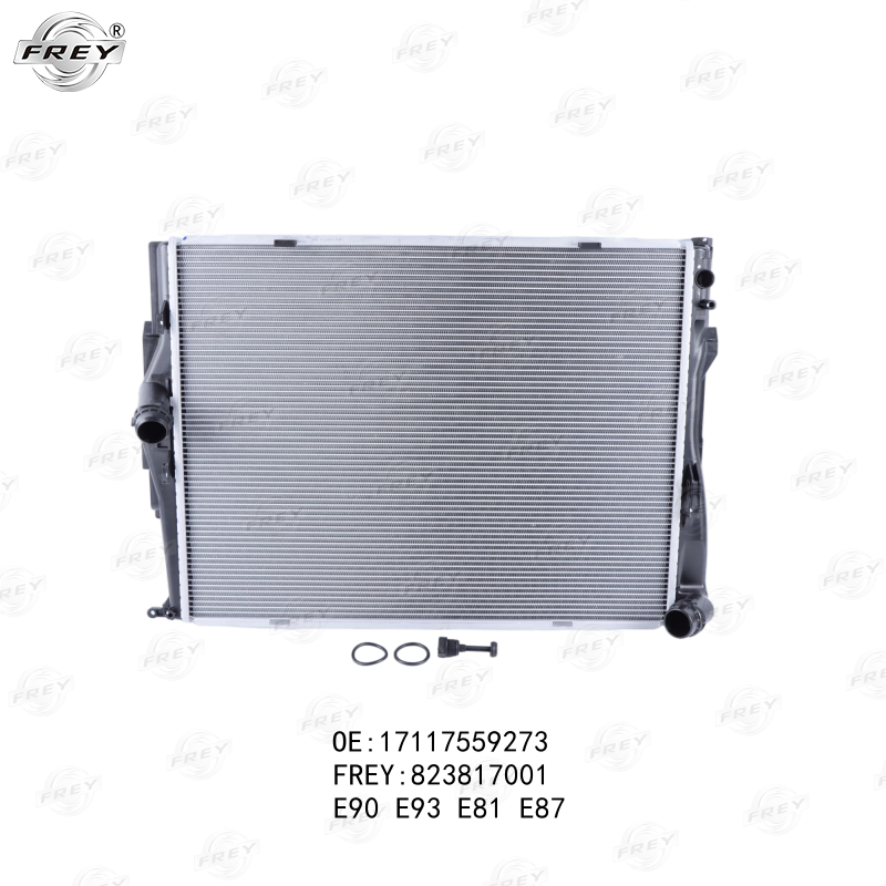 Radiador De Agua Bmw Serie 1 (E87, E88), 3 (E90), X1 (E84) 17117559273