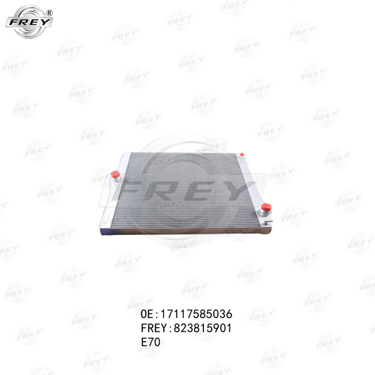 Radiador De Agua Bmw X5 (E70) 17117585036