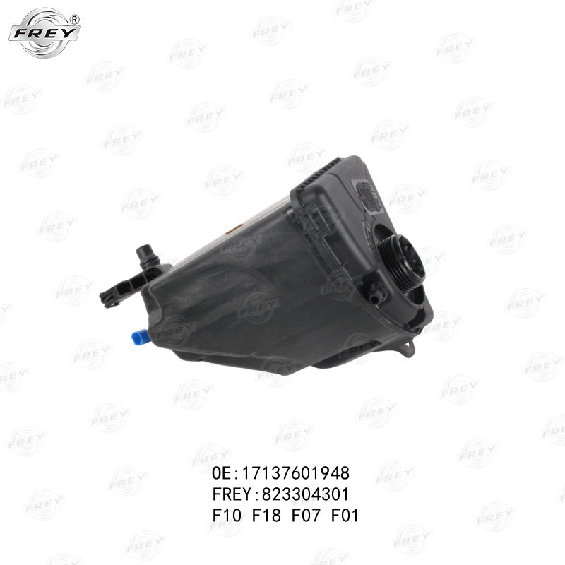 Deposito De Liquido Refrigerante Bmw Serie 5 (F10) 17137601948