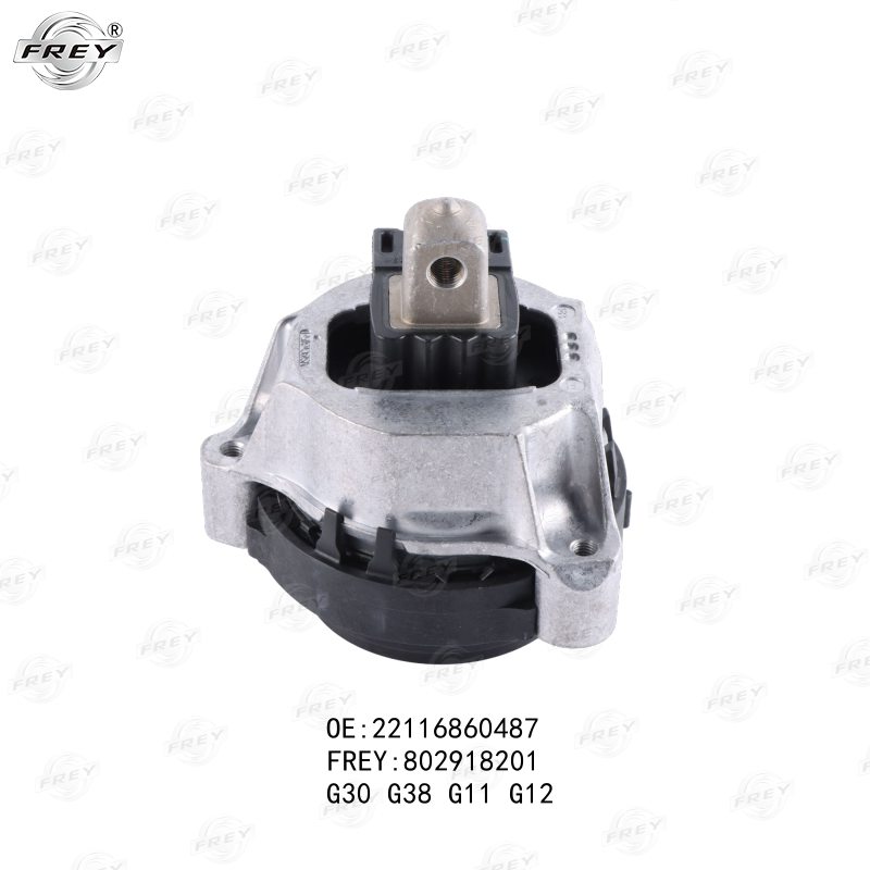 Soporte Motor Izquierdo Bmw Serie 5 (G30) 22116860487