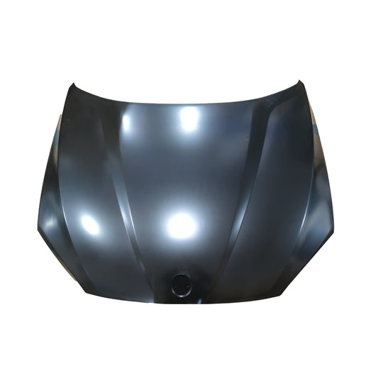 Capot Bmw X1 (E84) 41002993151