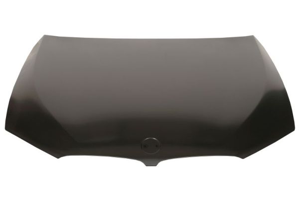 Capot Aluminio Bmw Serie 5 (G30, G31) 41007440427A