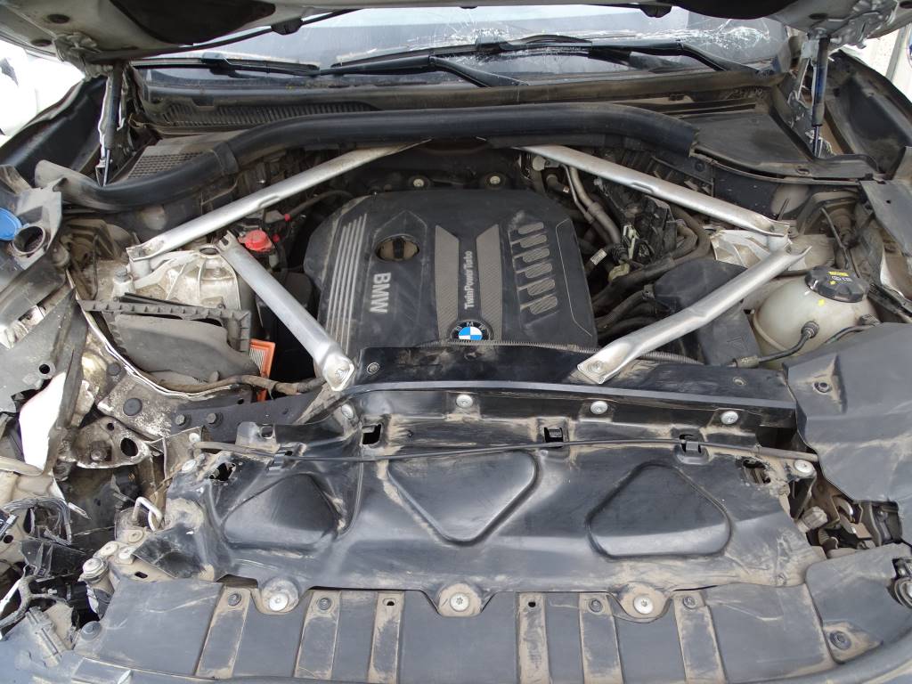 Bmw Serie X6 (G06) xDrive 30 d Año 2019 #515