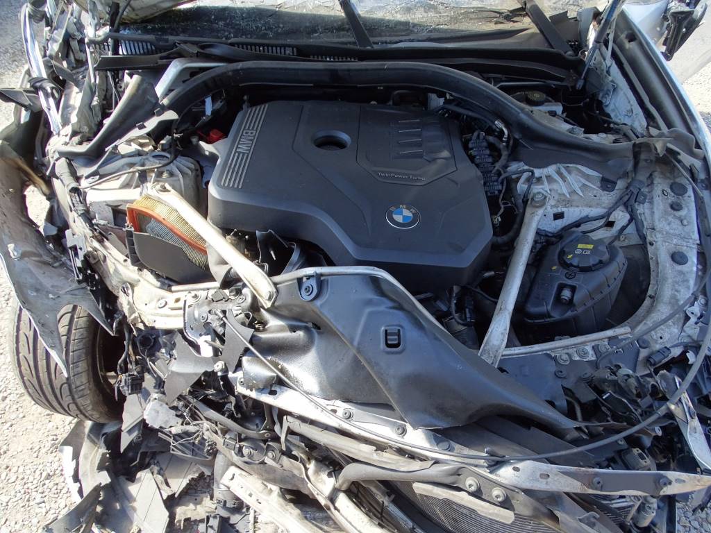 Bmw Serie 5 (G30) 520 i Año 2019 #518