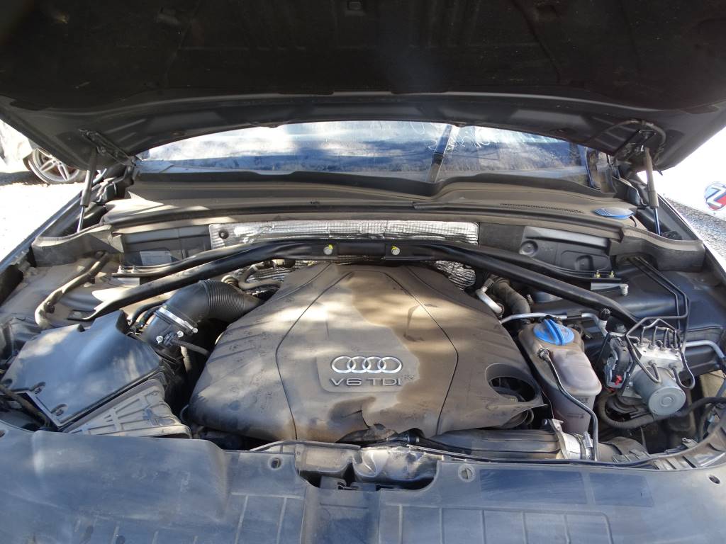 Audi Serie Q5 Audi Q5 quattro 3.0 TDI Año 2017 #447