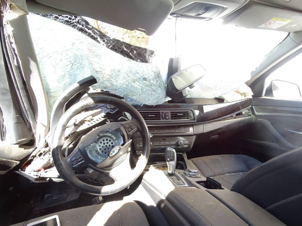 Bmw Serie 5 (F10) 520 d Año 2015 #386