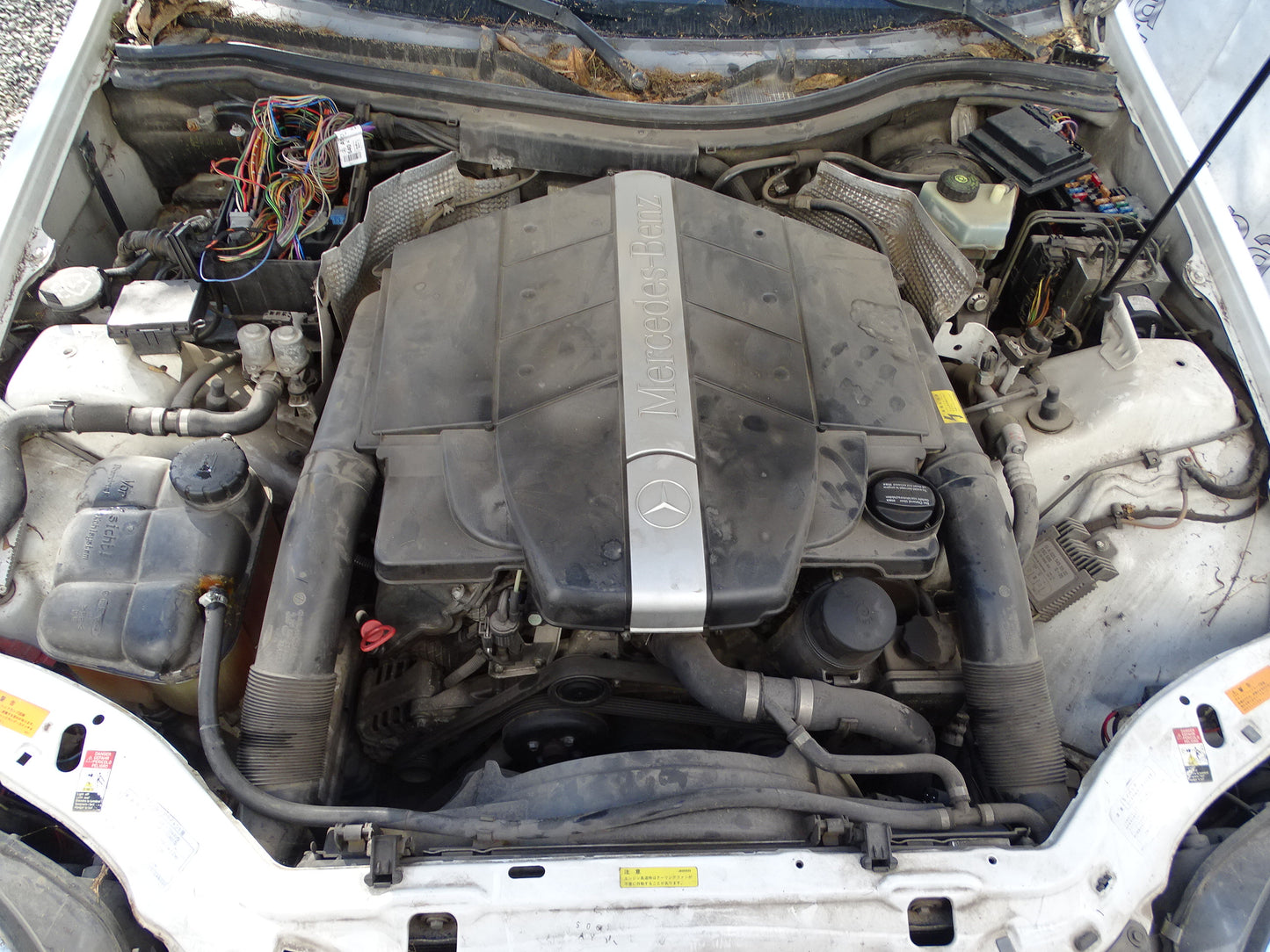 Mercedes Benz Clase SLK (R170) 320 Año 2001 #451