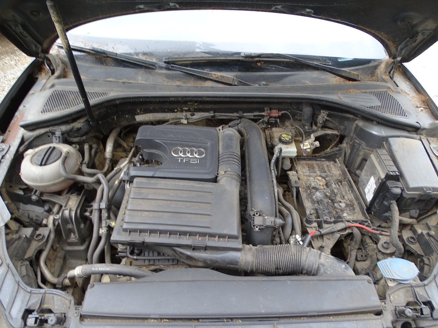 Audi Serie A3 1.4 TF SI Año 2016 #485